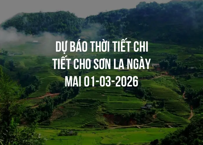 Dự báo thời tiết chi tiết cho Sơn La ngày mai 01-03-2026