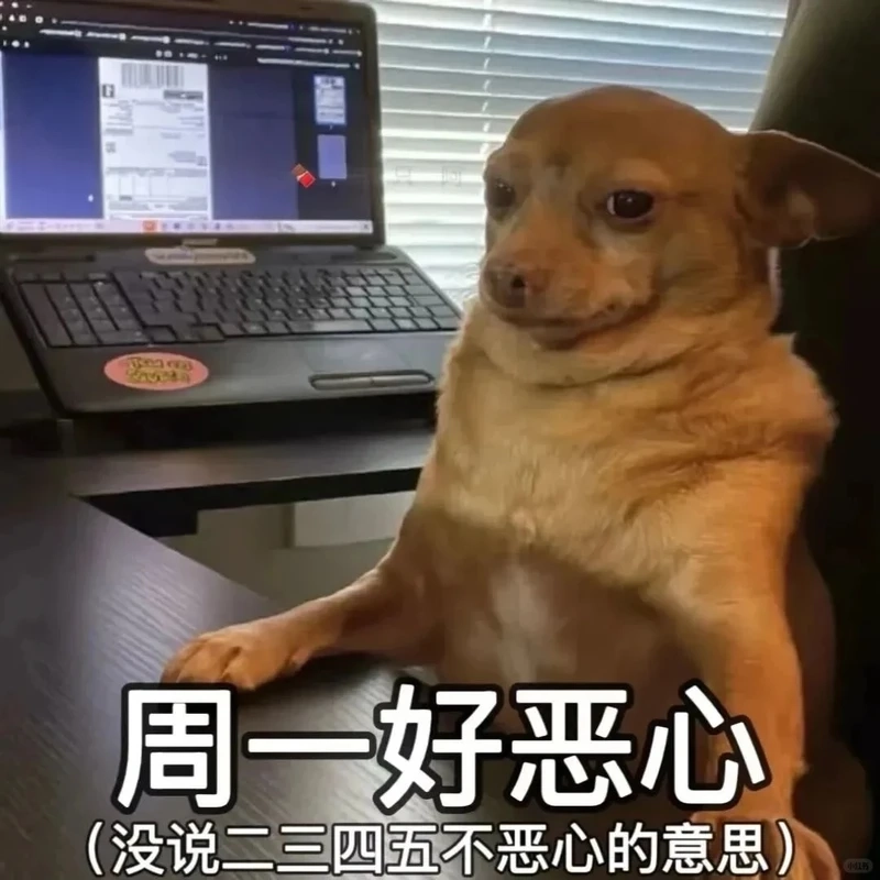 Bộ awkward chihuahua meme khiến ai xem cũng cười