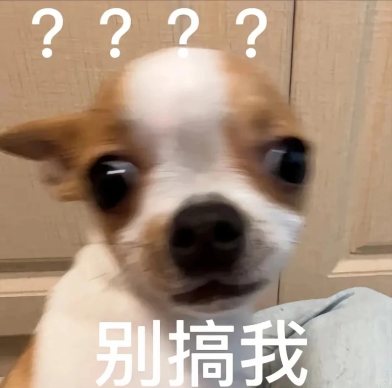 Loạt biting chihuahua meme cực lầy cho dân thích meme
