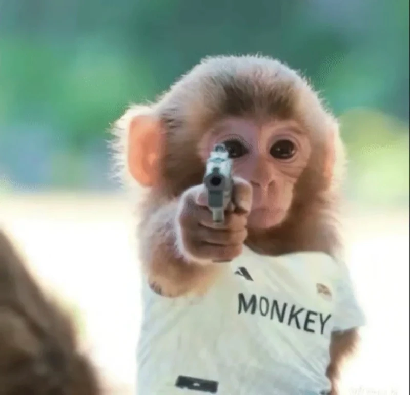 Tổng hợp meme cầm súng nổi tiếng được chia sẻ nhiều nhất