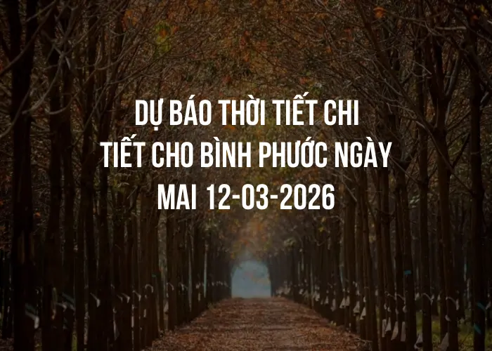 Dự báo thời tiết chi tiết cho Bình Phước ngày mai 12-03-2026