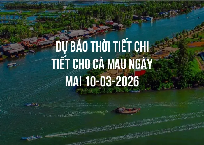 Dự báo thời tiết chi tiết cho Cà Mau ngày mai 10-03-2026