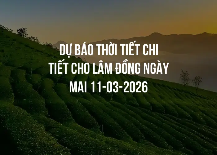 Dự báo thời tiết chi tiết cho Lâm Đồng ngày mai 11-03-2026