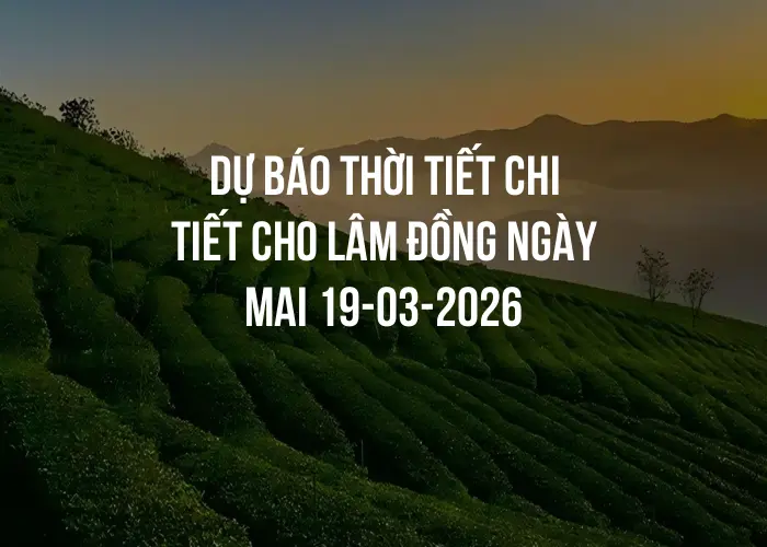 Dự báo thời tiết chi tiết cho Lâm Đồng ngày mai 19-03-2026