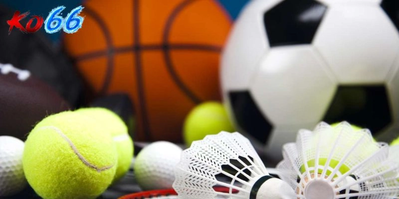 Thể Thao KO66 - Điểm Hẹn Sôi Động Cùng Thương Hiệu