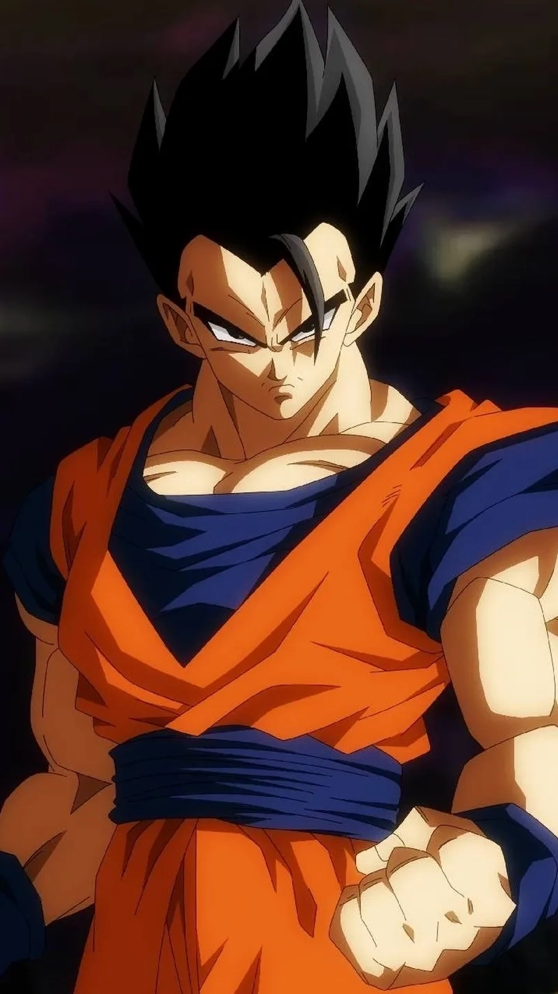 Bộ ảnh siêu đẹp về Gohan gohan với đủ phiên bản khác nhau