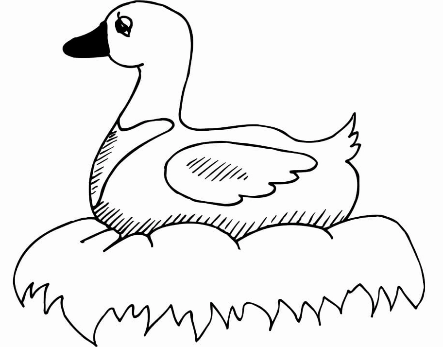 Bức tranh tô màu vịt mẹ trong tổ ấm áp chờ bé tô màu