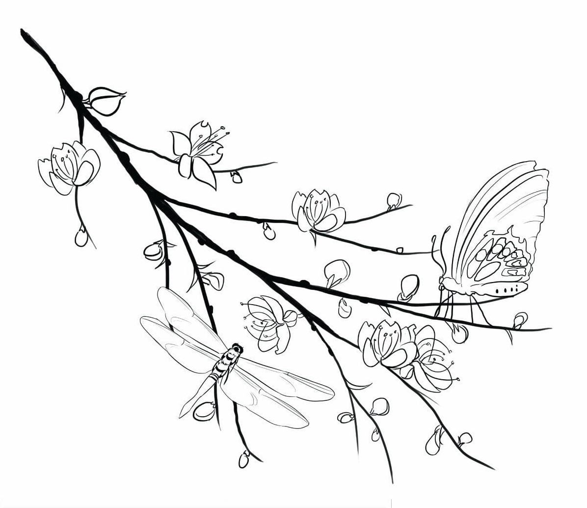 Cành hoa mai đẹp nhất qua lăng kính tranh tô màu