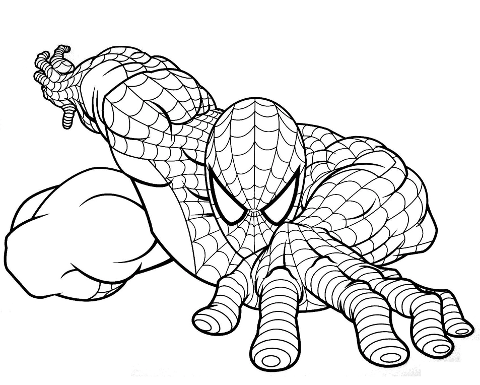 Cảnh tranh to màu người nhện leo trèo