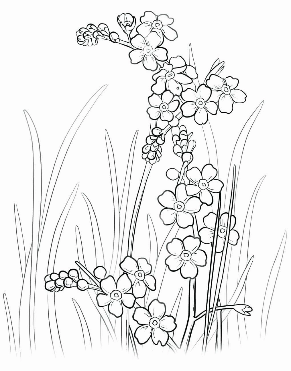 Gốc cây hoa mai cổ thụ trong tranh tô màu ngày tết