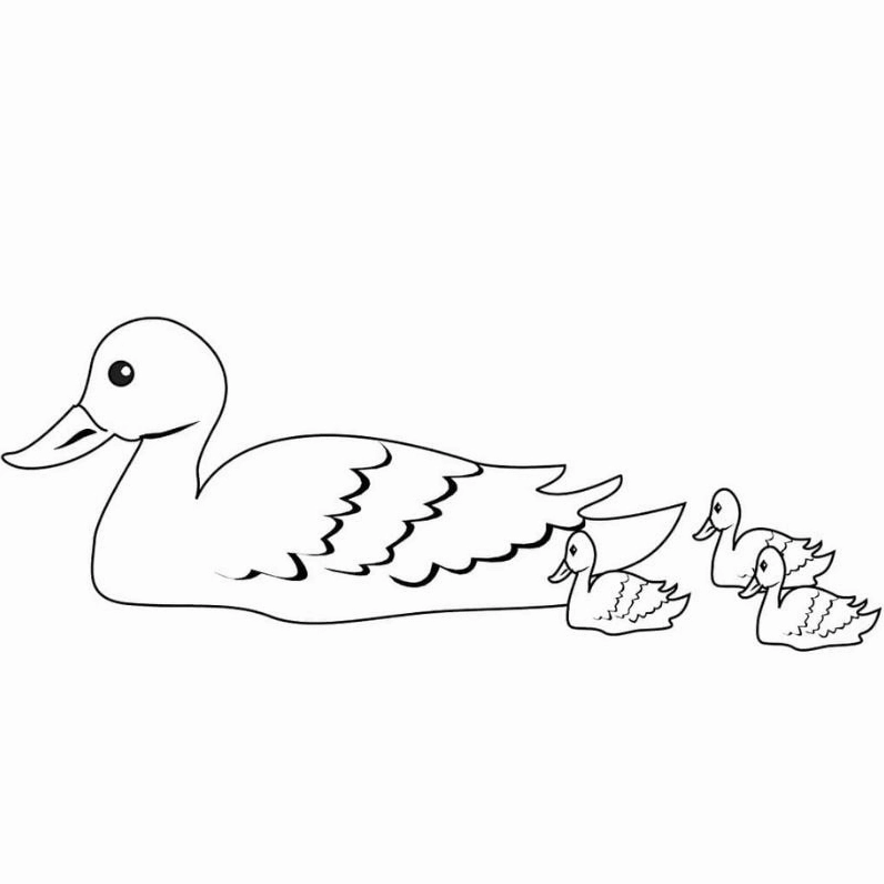 Hiểu thêm về thế giới động vật qua tranh tô màu vịt mẹ