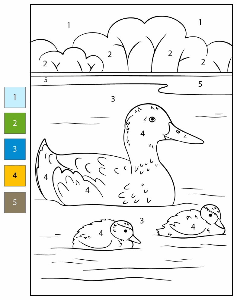 Học đếm số qua tranh tô màu vịt mẹ và vịt con