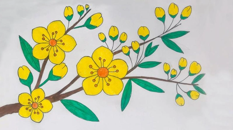 Lý do trẻ em thích tô tranh hoa mai ngày tết