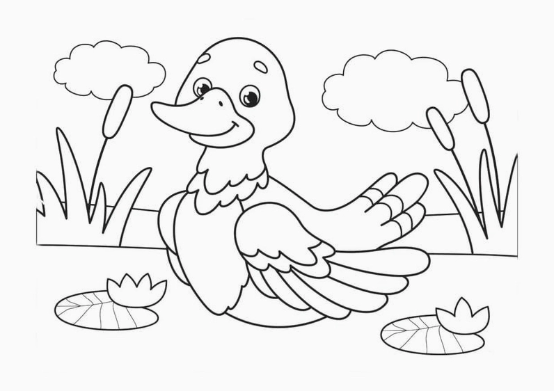 Sáng tạo giúp bé vui học từ tranh tô màu vịt mẹ