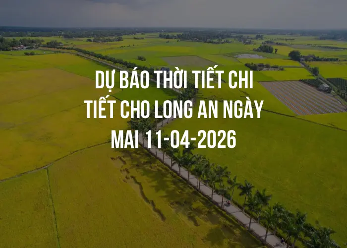 Dự báo thời tiết chi tiết cho Long An ngày mai 11-04-2026