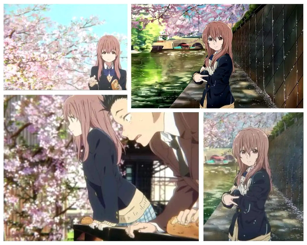 The Ripple Effect - Shouko Nishimiya