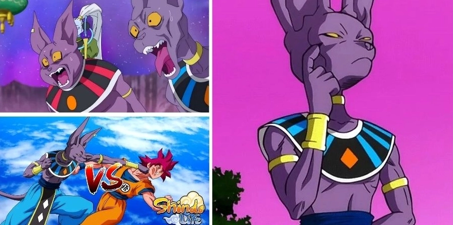 Tiểu sử về Beerus