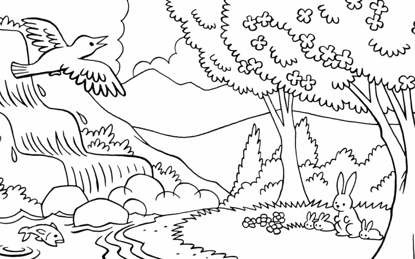 tô màu Chim bay trên rừng cây xanh mát