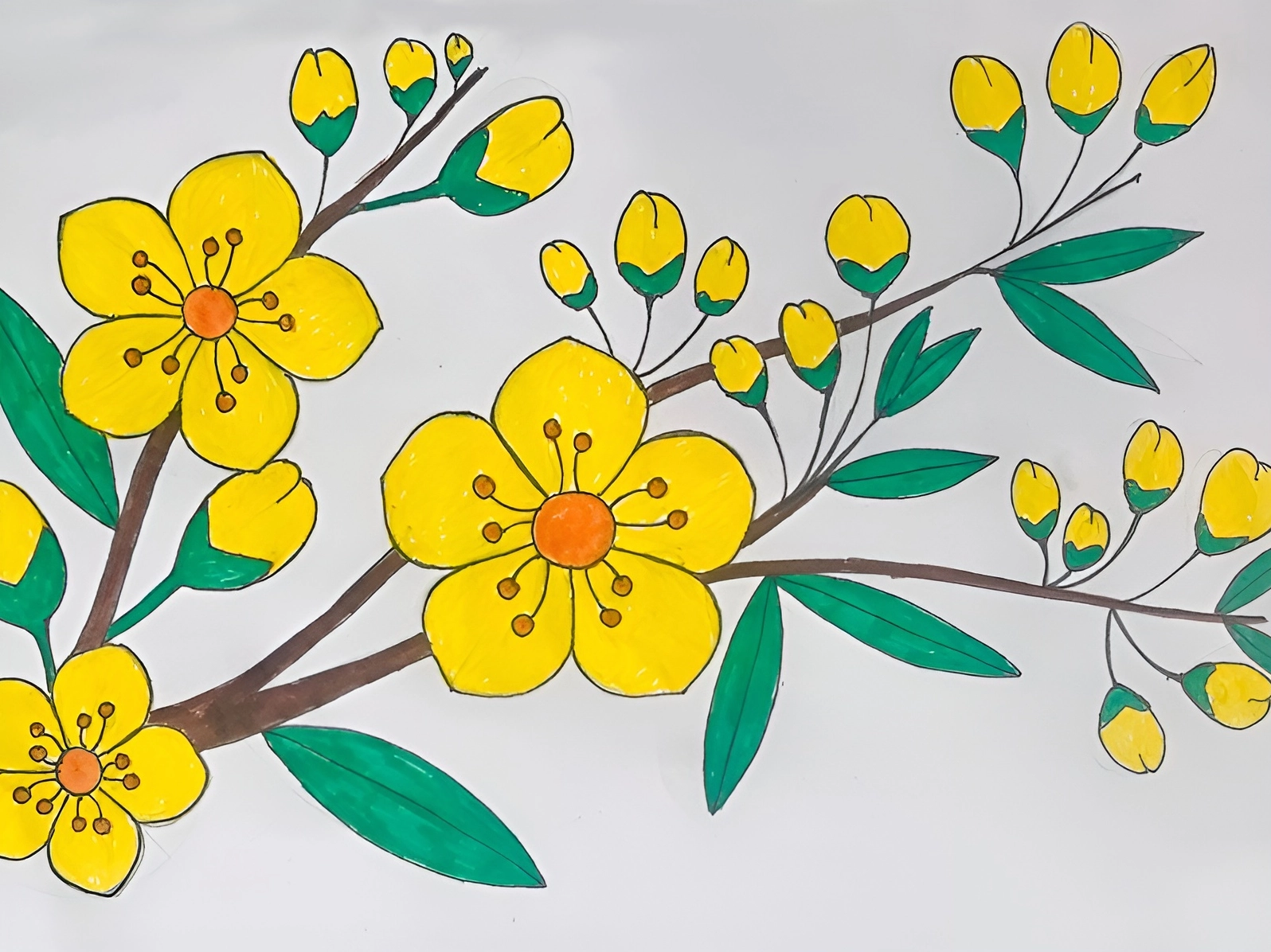 Tổng hợp bộ tranh tô màu hoa mai ngày tết đẹp nhất cho bé yêu