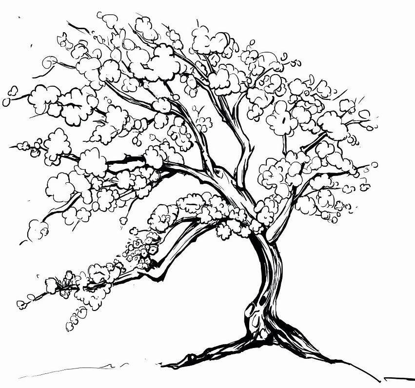 tranh tô màu bé chúc tết ông bà bên cây mai vàng rực rỡ