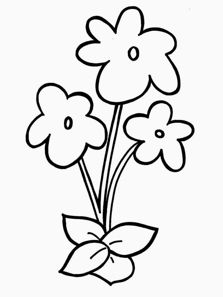 Tranh tô màu hoa mai ngày tết đơn giản cho bé mầm non