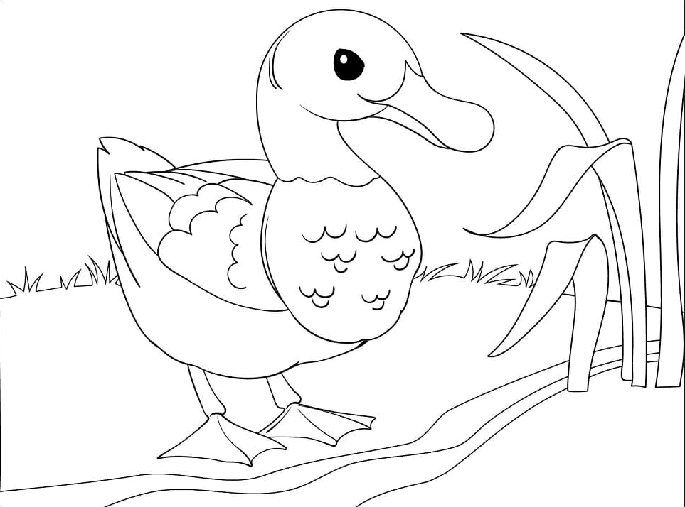 Tranh tô màu vịt mẹ thật dễ thương cho bé rèn luyện