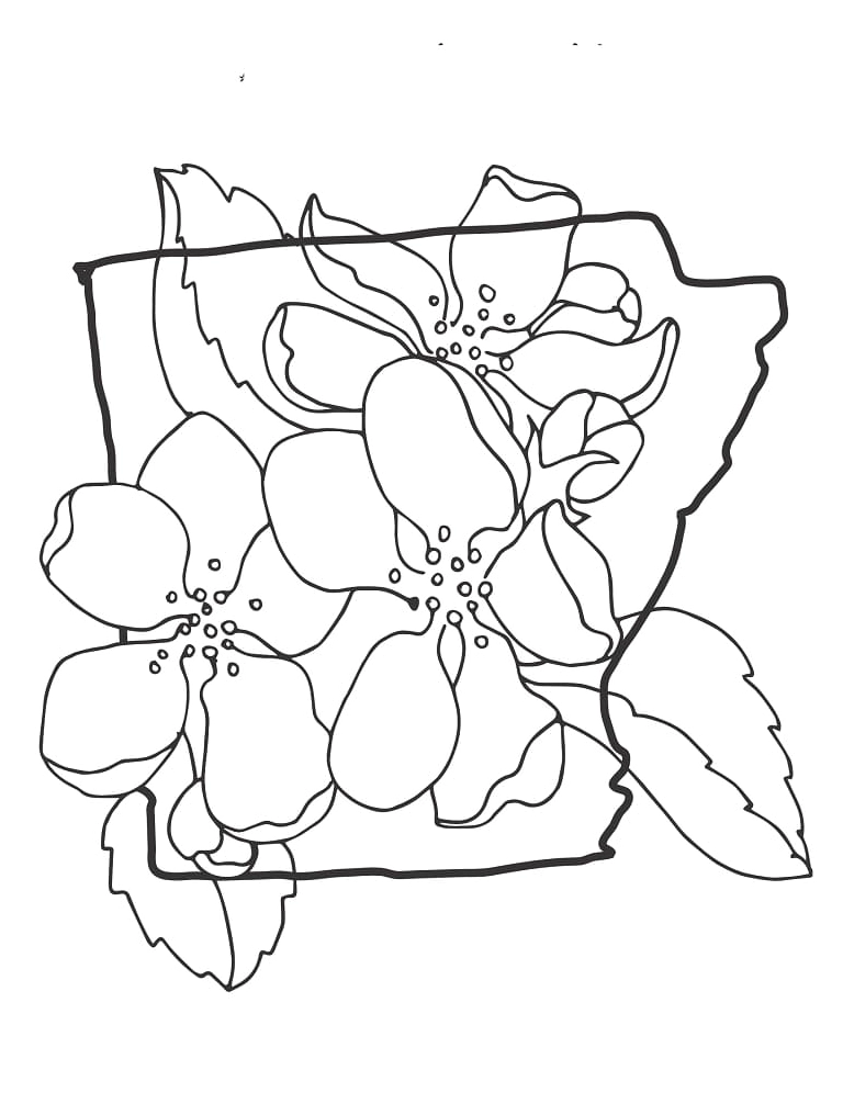 Tuyệt tác tranh tô màu hoa mai đẹp nhất cho bé