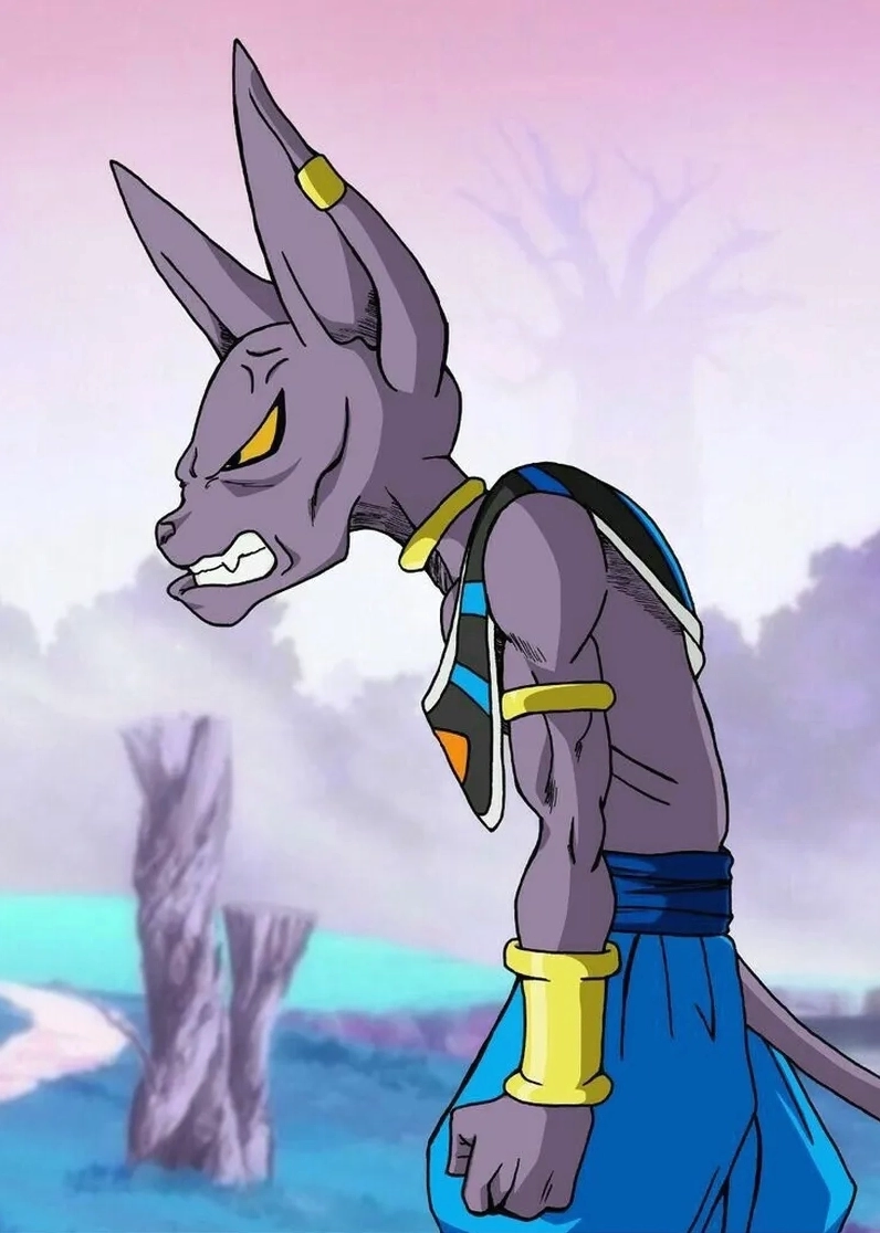 Vẻ lạnh lùng và uy nghi của ngài Beerus