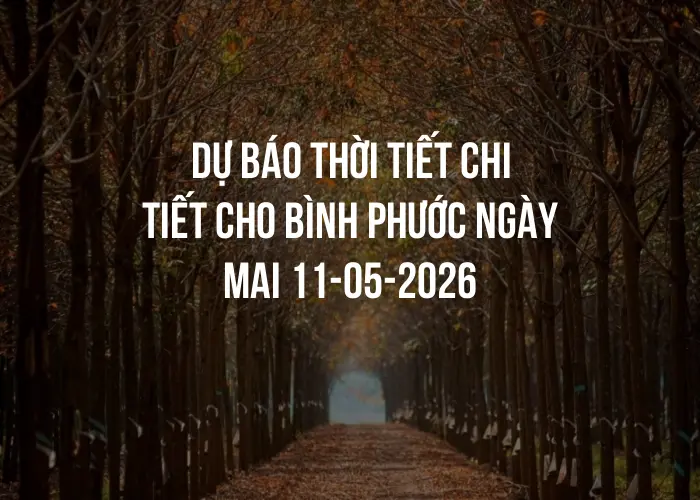 Dự báo thời tiết chi tiết cho Bình Phước ngày mai 11-05-2026