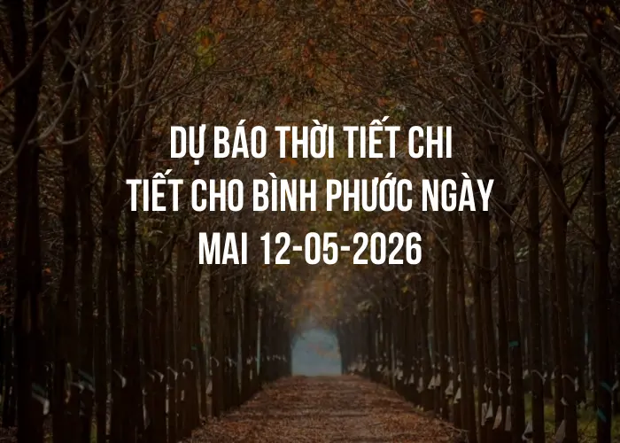 Dự báo thời tiết chi tiết cho Bình Phước ngày mai 12-05-2026