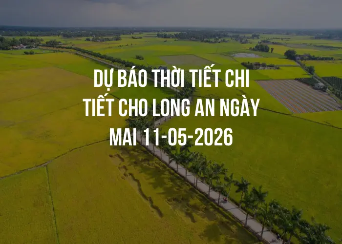 Dự báo thời tiết chi tiết cho Long An ngày mai 11-05-2026