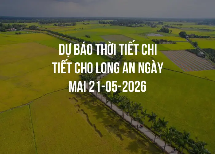 Dự báo thời tiết chi tiết cho Long An ngày mai 21-05-2026