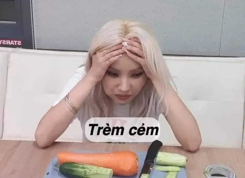 Cười bên ngoài nhưng bên trong rơi rụng meme trầm cảm