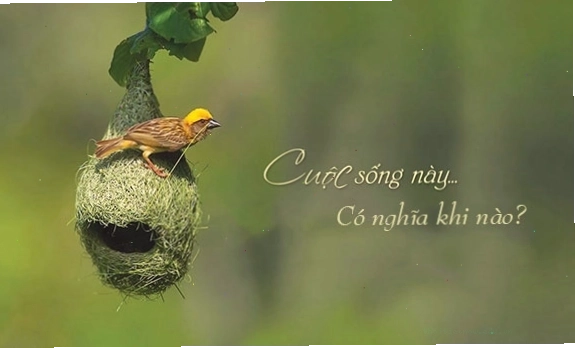Những lời khuyên chân thành giúp thay đổi tư duy và cuộc đời
