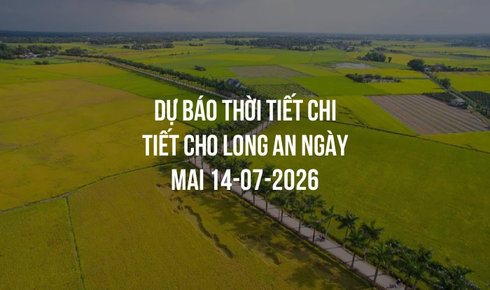 Dự báo thời tiết chi tiết cho Long An ngày mai 14-07-2026