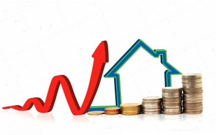 Phân tích dữ liệu tài chính để đưa ra quyết định kinh doanh