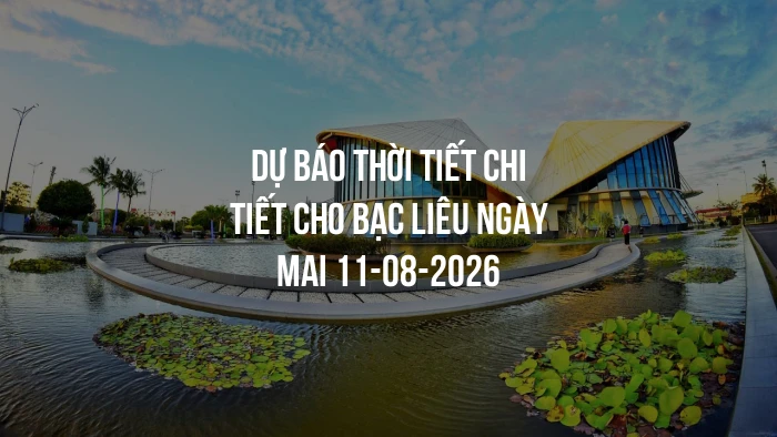 Dự báo thời tiết chi tiết cho Bạc Liêu ngày mai 11-08-2026