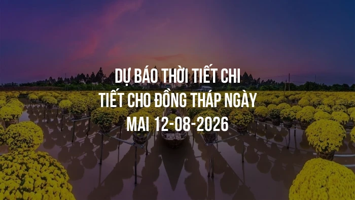 Dự báo thời tiết chi tiết cho Đồng Tháp ngày mai 12-08-2026