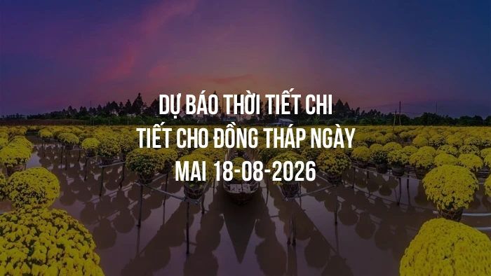 Dự báo thời tiết chi tiết cho Đồng Tháp ngày mai 18-08-2026