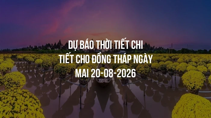 Dự báo thời tiết chi tiết cho Đồng Tháp ngày mai 20-08-2026
