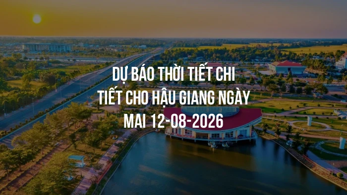 Dự báo thời tiết chi tiết cho Hậu Giang ngày mai 12-08-2026