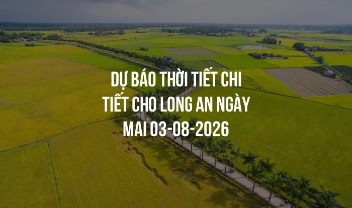 Dự báo thời tiết chi tiết cho Long An ngày mai 03-08-2026