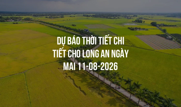 Dự báo thời tiết chi tiết cho Long An ngày mai 11-08-2026