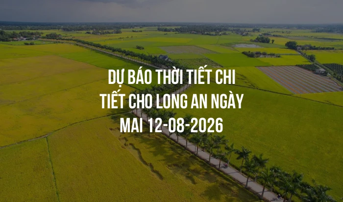 Dự báo thời tiết chi tiết cho Long An ngày mai 12-08-2026
