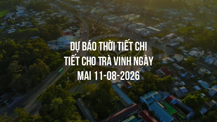 Dự báo thời tiết chi tiết cho Trà Vinh ngày mai 11-08-2026