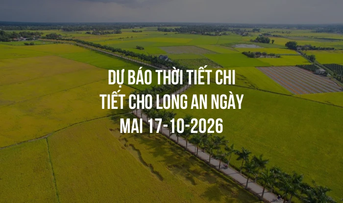 Dự báo thời tiết chi tiết cho Long An ngày mai 17-10-2026