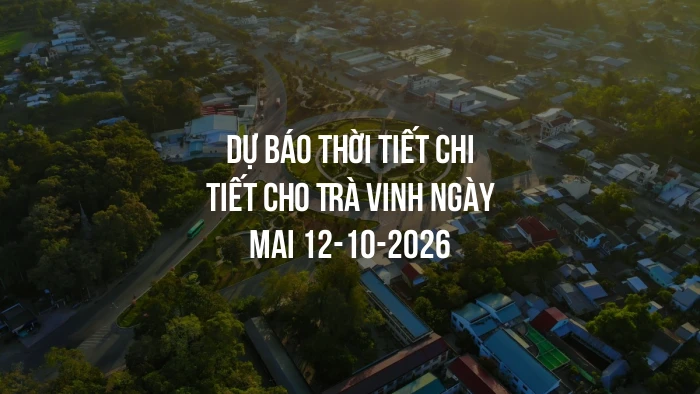 Dự báo thời tiết chi tiết cho Trà Vinh ngày mai 12-10-2026