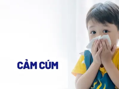 Tổng hợp hình ảnh bệnh cảm cúm phổ biến dễ nhận biết