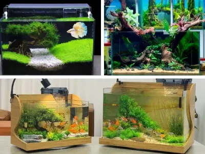 Mẫu bể cá thủy sinh - Hút tài lộc, mang bình an đến nhà