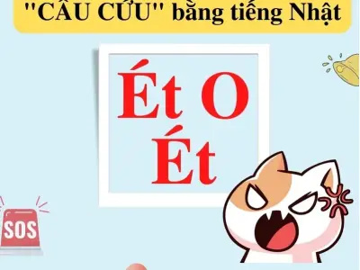 Khám phá các meme viral khác khiến giới trẻ phát cuồng